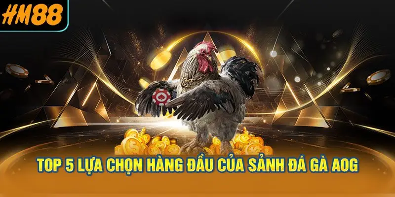 Top 5 lựa chọn hàng đầu của Sảnh đá gà AOG
