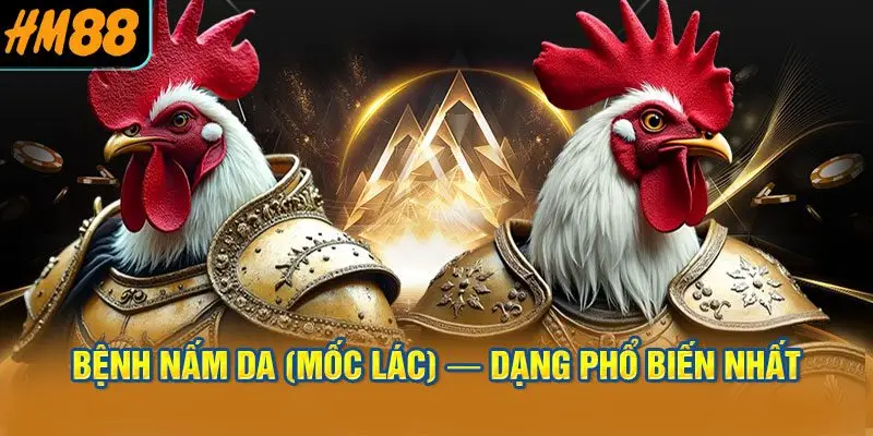 Bệnh Nấm Da (Mốc Lác) — Dạng Phổ Biến Nhất Ở Gà Chọi