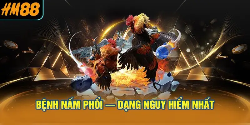 Bệnh Nấm Phổi
