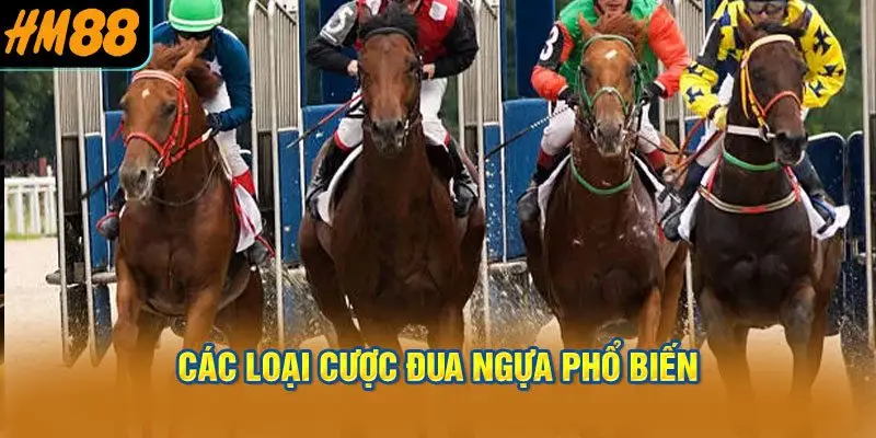 Các loại cược đua ngựa phổ biến