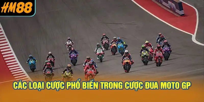 Các loại cược phổ biến trong Cược đua moto GP