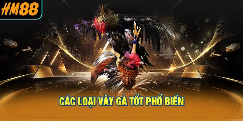 Các Loại Vảy Gà Tốt Phổ Biến Mà Sư Kê Nào Cũng Cần Biết
