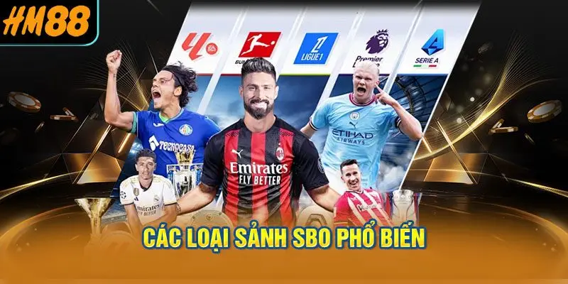 Các loại sảnh SBO phổ biến