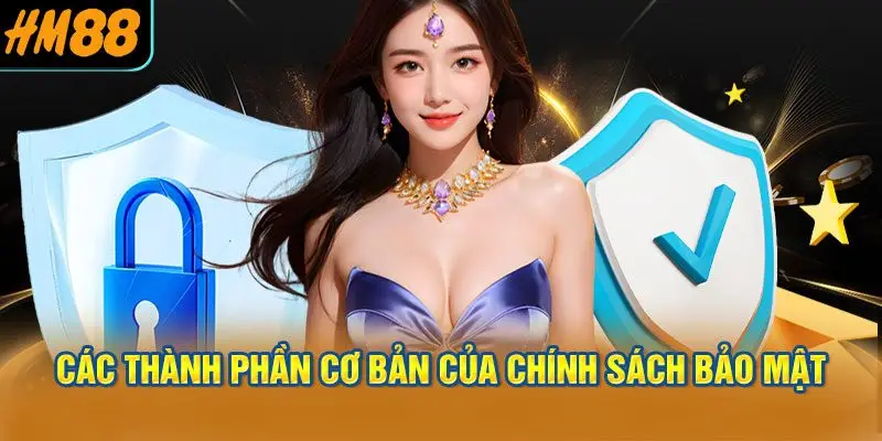 Các Thành Phần Cơ Bản Của Chính Sách Bảo Mật