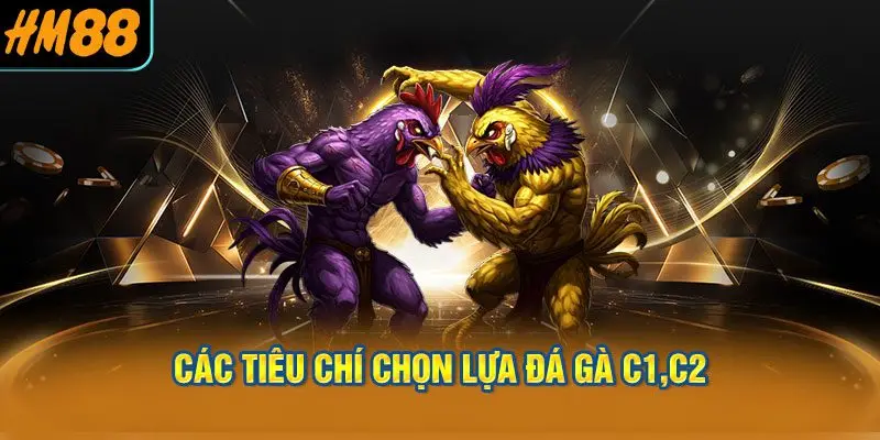 Các Tiêu Chí Chọn Lựa Đá Gà C1,C2