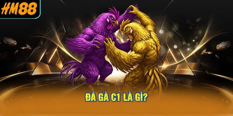 Đá Gà C1 là gì?