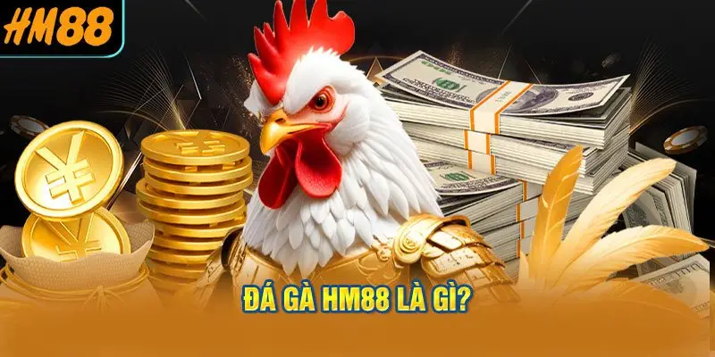 Đá Gà HM88 là gì?