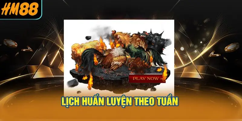 Lịch Huấn Luyện Theo Tuần — Áp Dụng Ngay Cho Chiến Kê