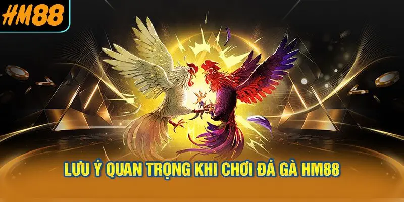 Lưu ý quan trọng khi chơi đá gà HM88
