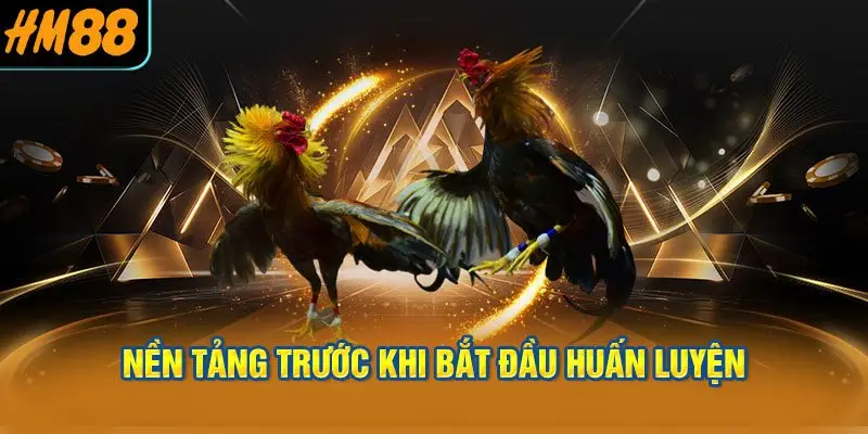 Giai Đoạn Chuẩn Bị — Nền Tảng Trước Khi Bắt Đầu Huấn Luyện