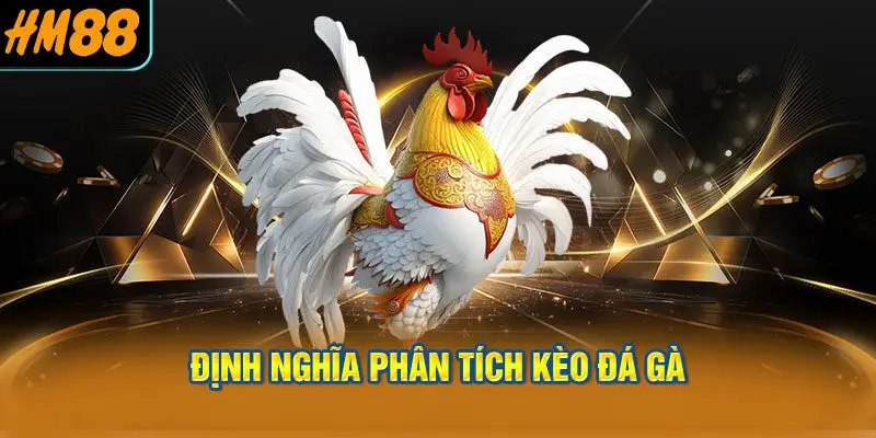 Định nghĩa phân tích kèo đá gà