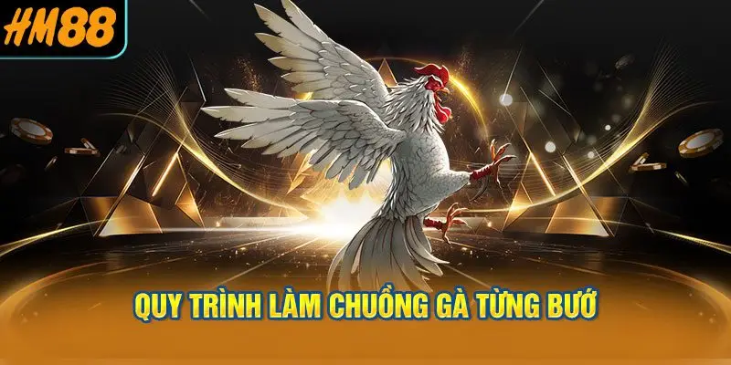 Quy Trình Làm Chuồng Gà Từng Bước