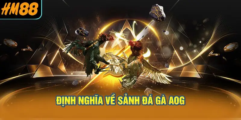 Định nghĩa về Sảnh đá gà AOG