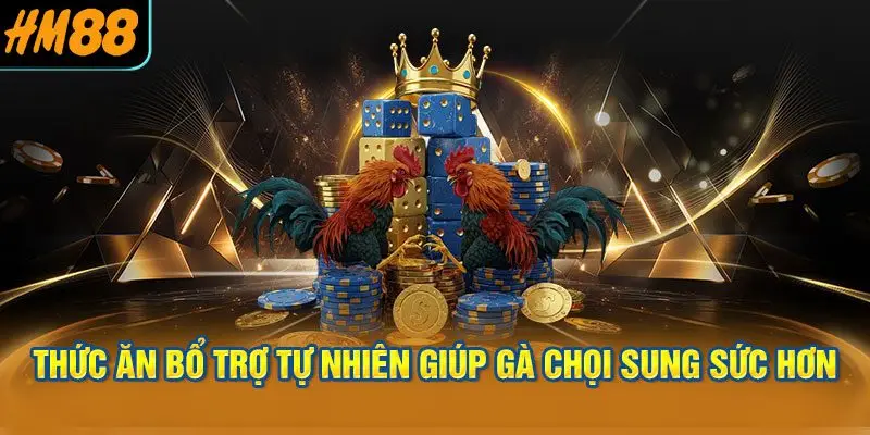 Thức Ăn Bổ Trợ Tự Nhiên Giúp Gà Chọi Sung Sức Hơn