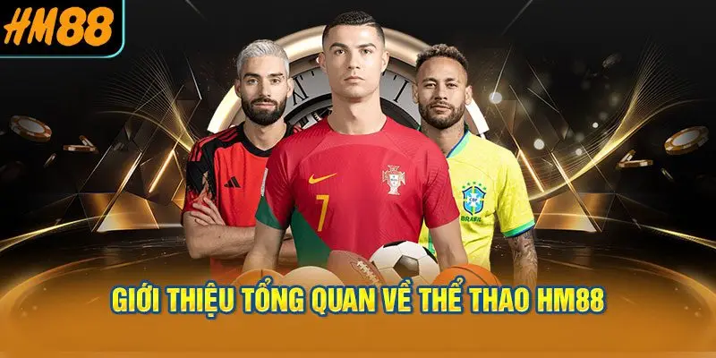 Giới Thiệu Tổng Quan Về Thể Thao HM88
