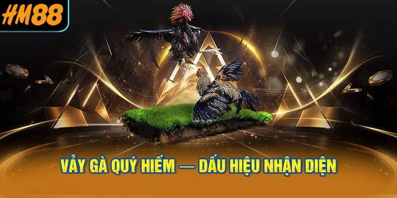 Vảy Gà Quý Hiếm